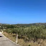 Di Campagna - *