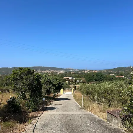 Di Campagna - * Palau