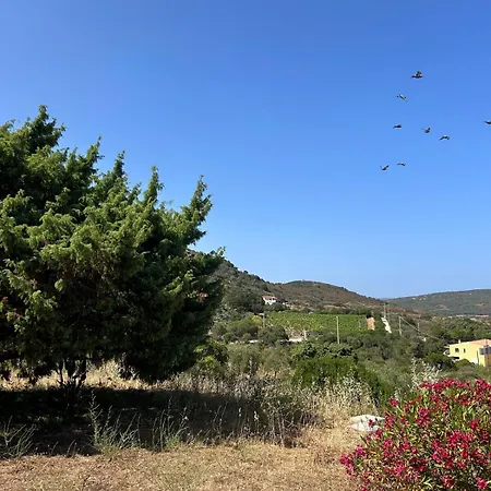 Di Campagna -