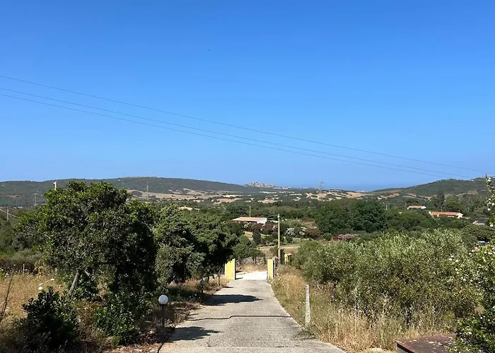 Di Campagna - * Palau